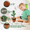 Dancing Cactus - smartishTrend